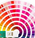 PANTONE colores