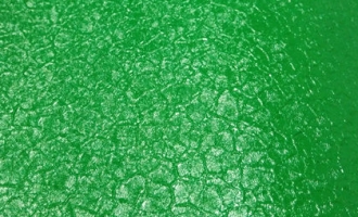 Cocodrilo verde -ABH8GC021