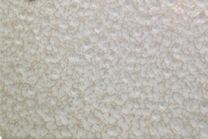 Antique Gold White -COCOA2