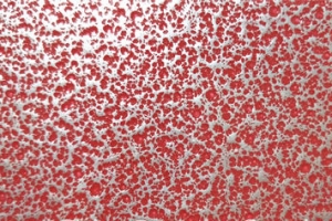 Antique Silver Red -FHY0111