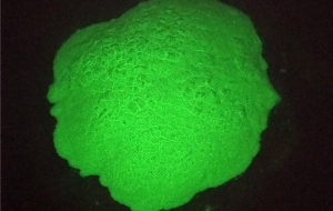 Glow Green Topcoat