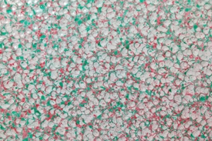Hammer MutiColor -COEP/FHY0115