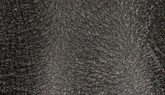 Black Leather -EHM21063