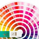 Pantone Color Chart(C)