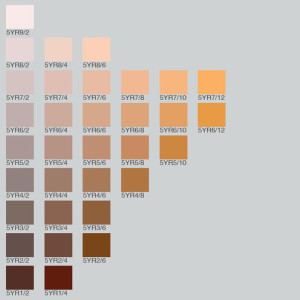 munsell color chart